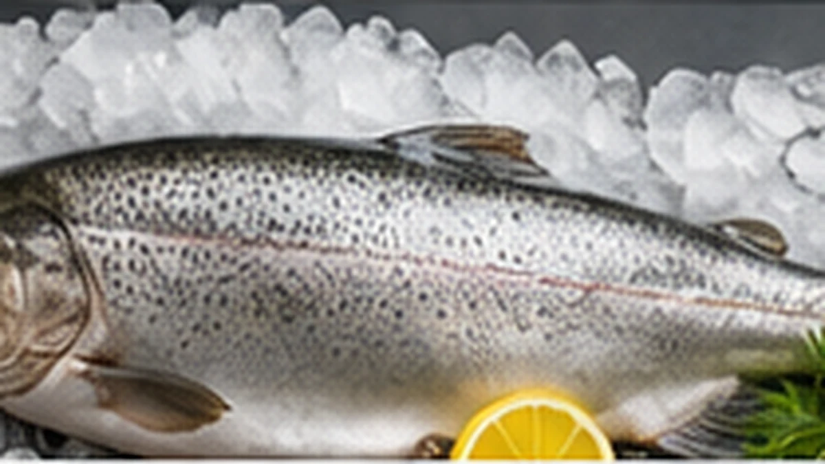 Trout Fresh vs Frozen: Karakteristik, Cara Memilih, dan Mengolahnya