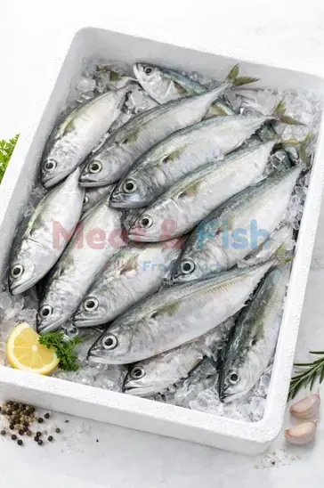 Ikan Kembung Beku