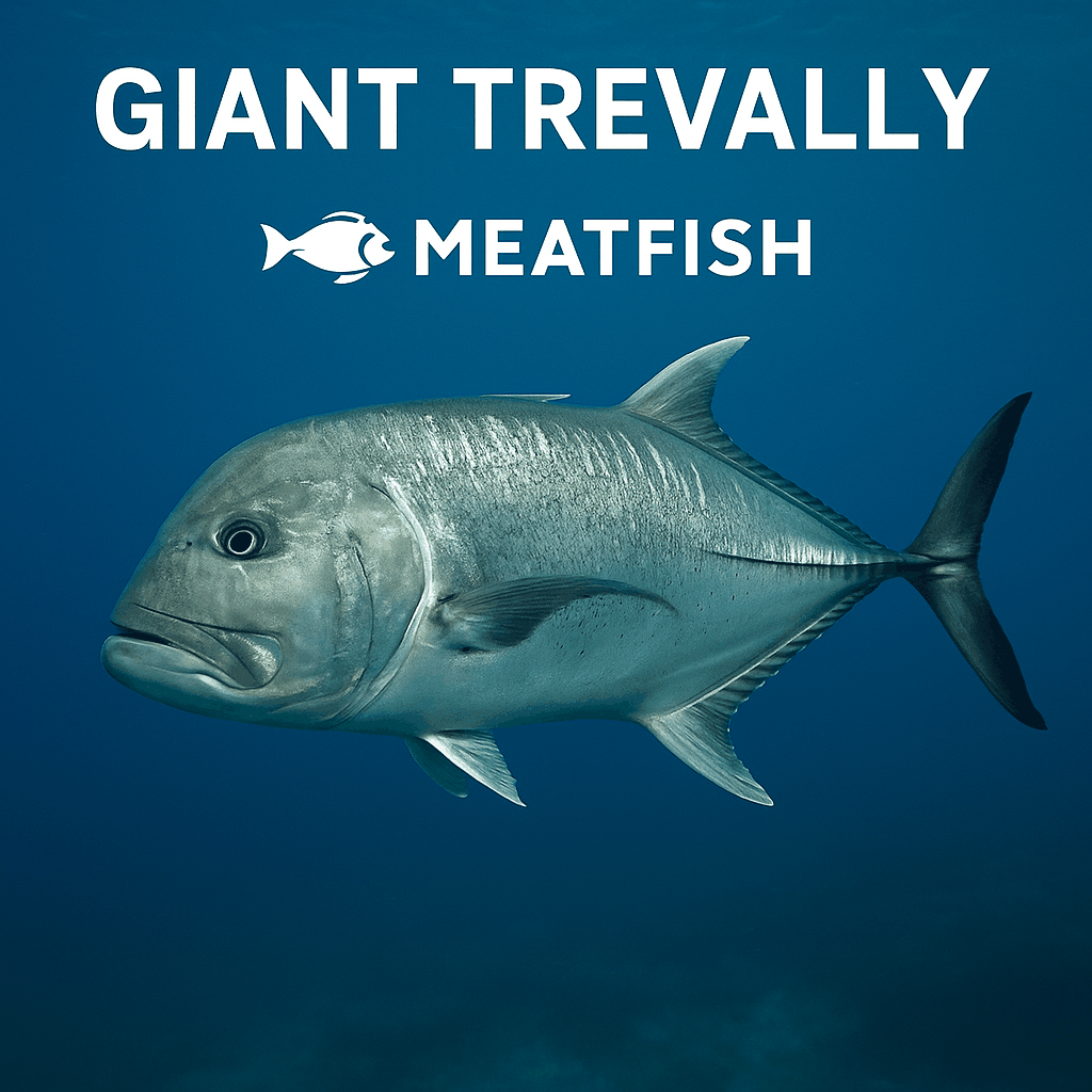 Giant Trevally Raja Laut Yang Jadi Andalan Meatfish Untuk Pasar Modern