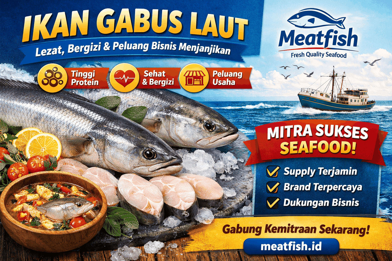 Ikan Gabus Laut