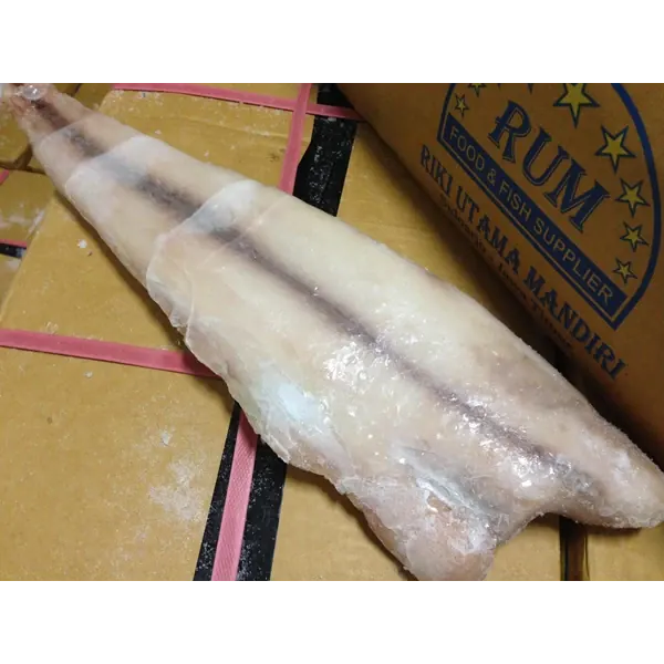 Ikan Odul