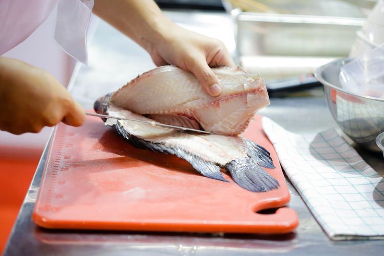 Ketahui Perbedaan Ikan Dori dan Ikan Patin