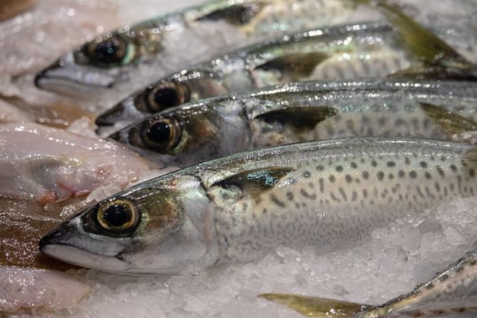 Ikan Beku Mengandung Bahan Kimia