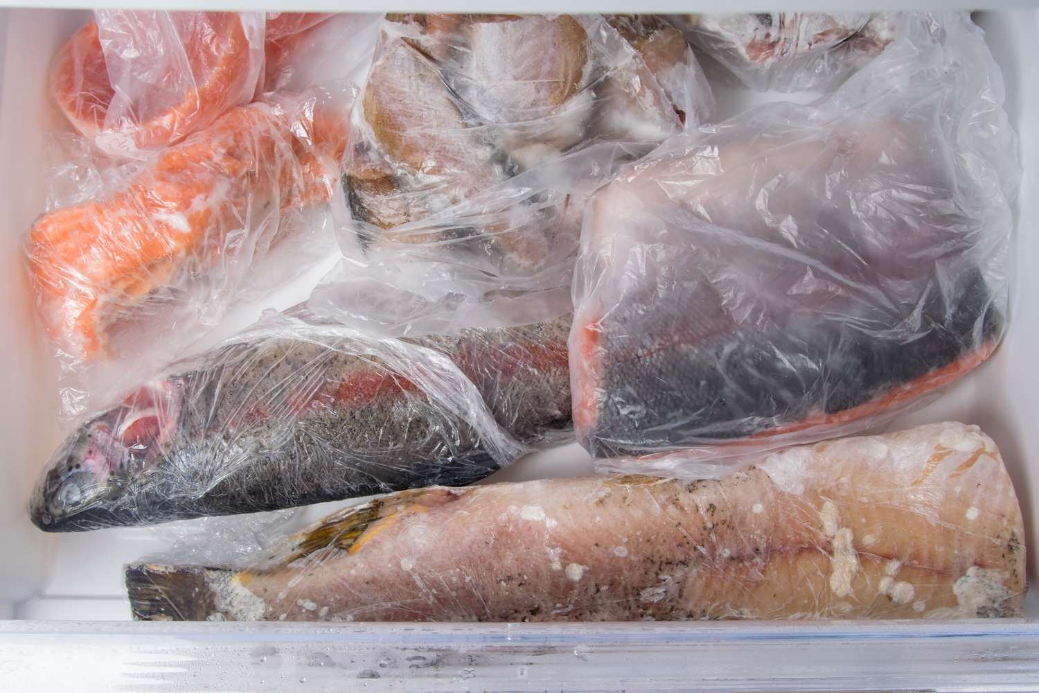 Freezer Burn