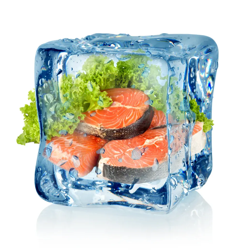 Fresh Frozen Vs Frozen Lama Perbedaan Nyata Yang Menentukan Rasa Gizi Dan Keuntungan Bisnis
