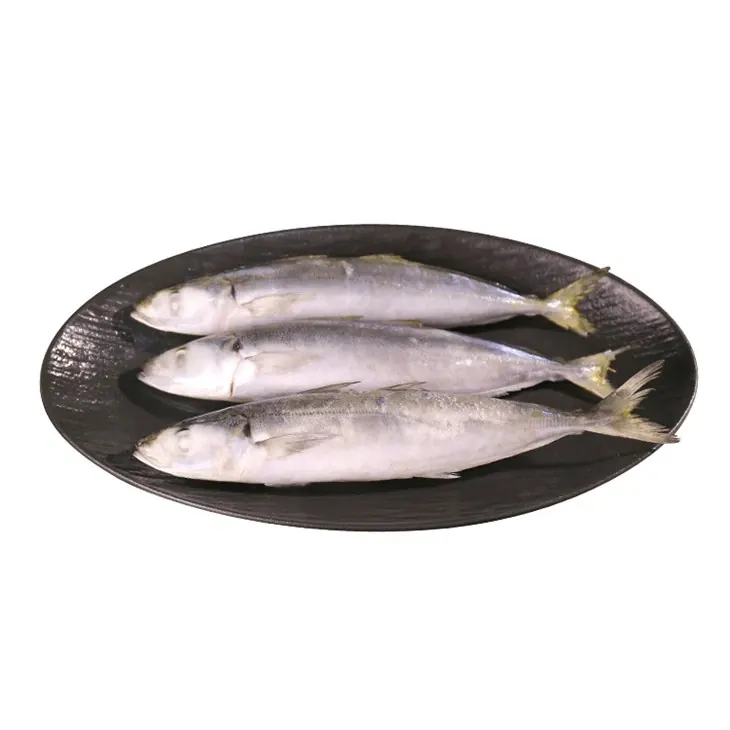 Efek Makan Ikan Beku Kualitas Rendah